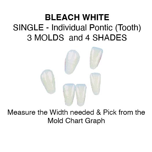 BLEACHED SHADES--Lower Single Pontic