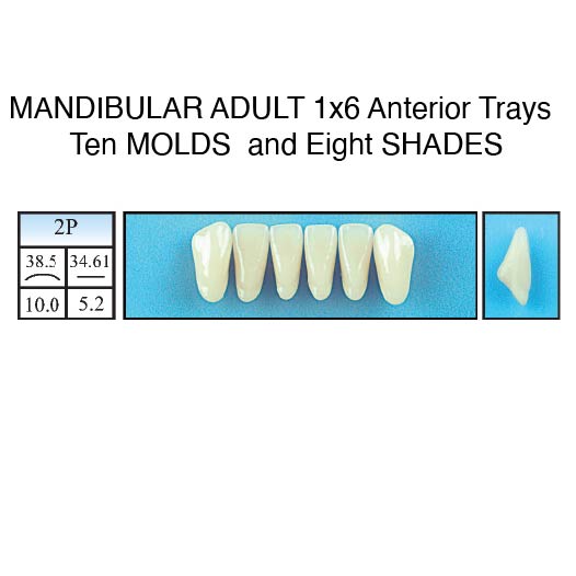 STANDARD SHADES--Lower 1x6 Anteriors Only
