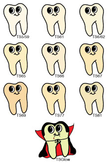 TS: STANDARD TOOTH SHADE POLYMER