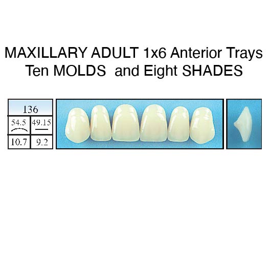STANDARD SHADES--Upper 1x6 Anteriors Only